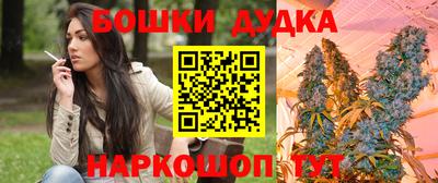 МДПВ Будённовск